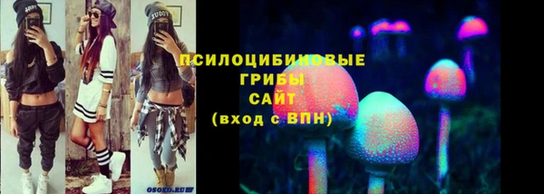 дживик Балахна