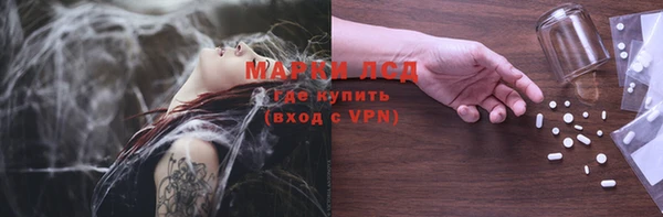 мяу мяу мука Аркадак