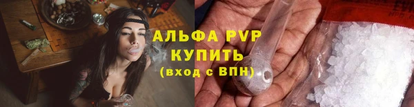 мяу мяу мука Аркадак