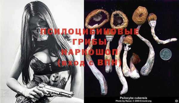 мяу мяу мука Баксан